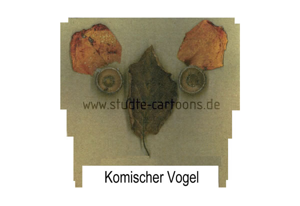 Komischer Vogel, seltene Vogelarten, ausgestorbene Tierart, rote Liste, schräger Vogel, komischer Vogel